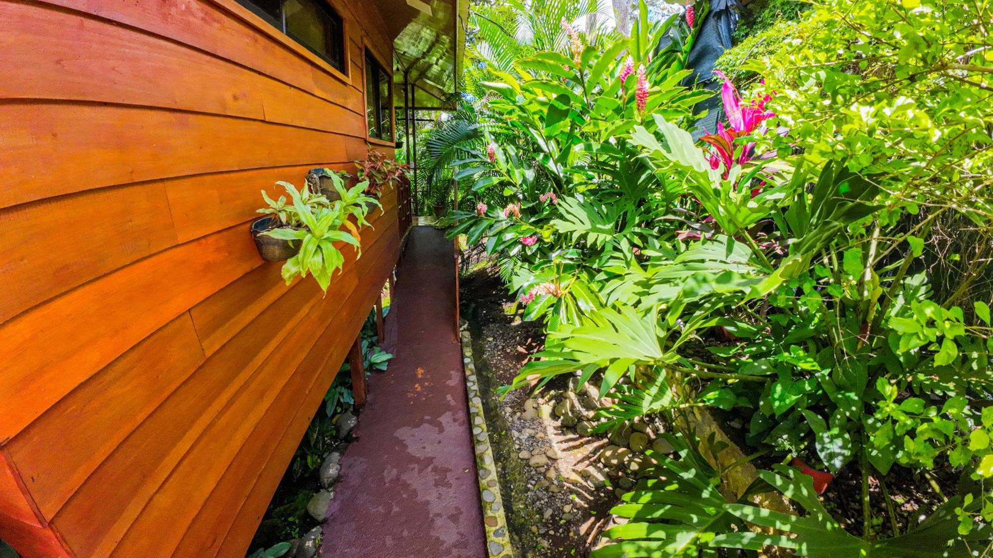 Bungalows Las Iguanas Arenal Volcano Ла Фортуна Экстерьер фото