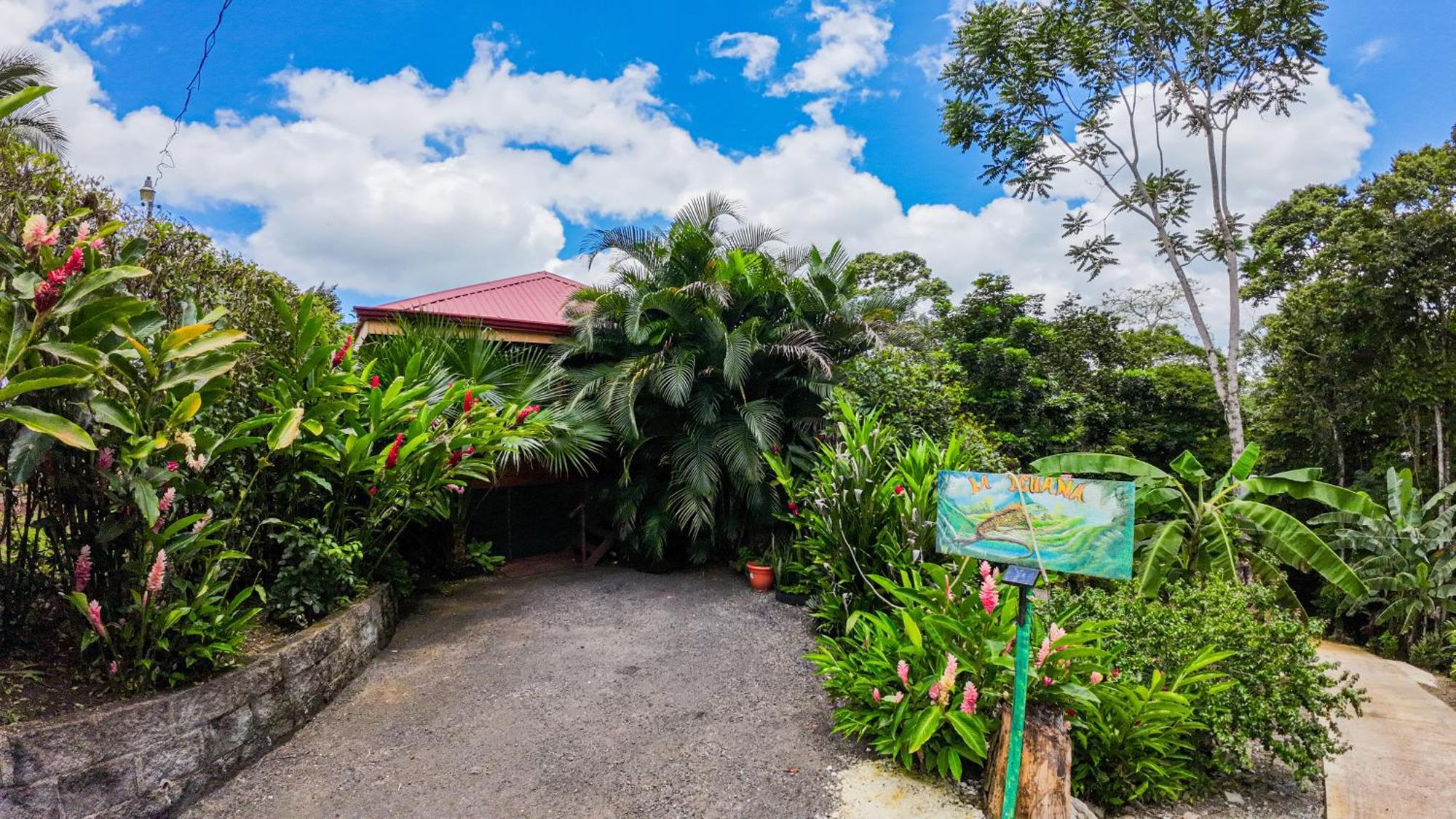 Bungalows Las Iguanas Arenal Volcano Ла Фортуна Экстерьер фото