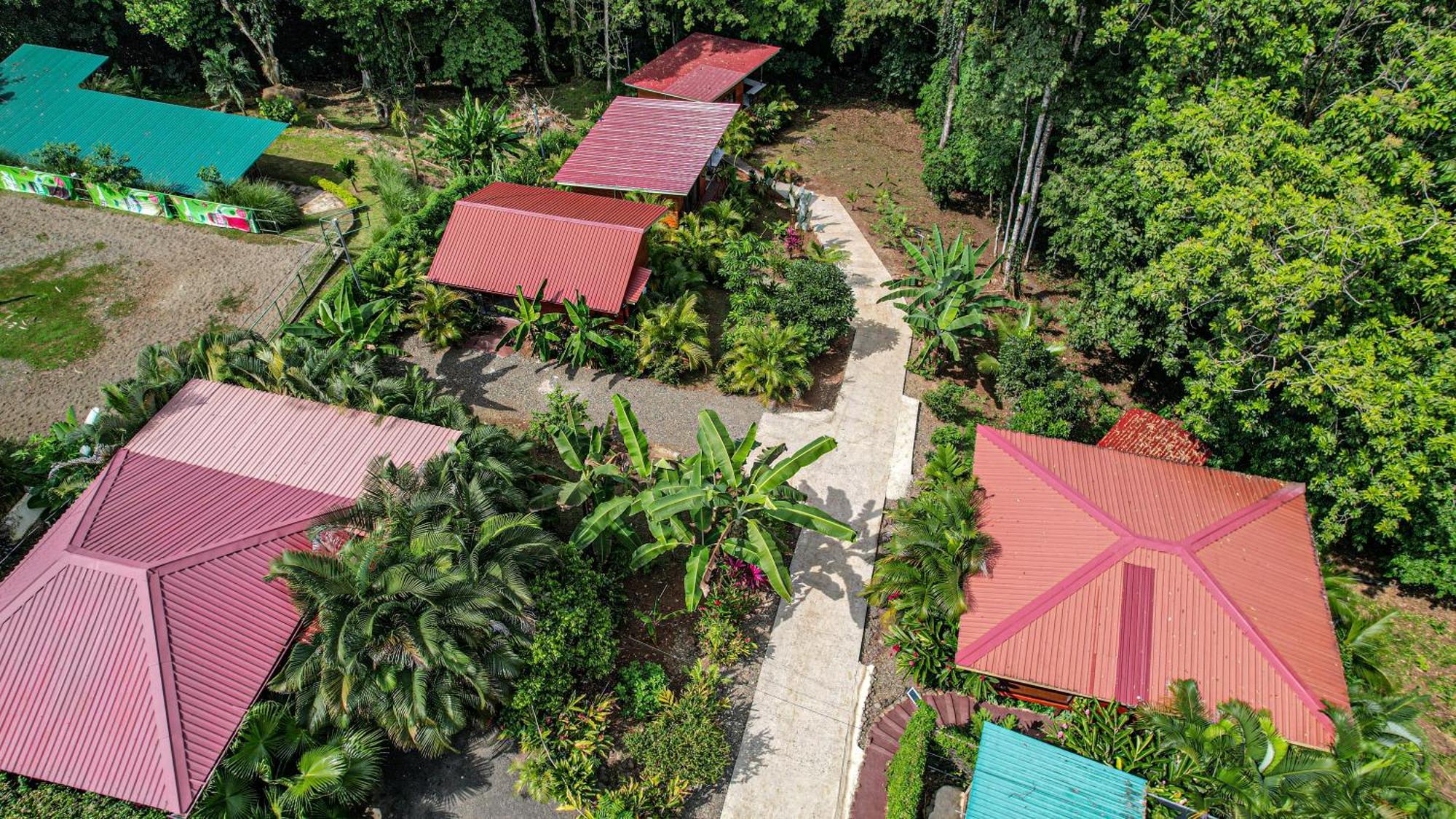 Bungalows Las Iguanas Arenal Volcano Ла Фортуна Экстерьер фото