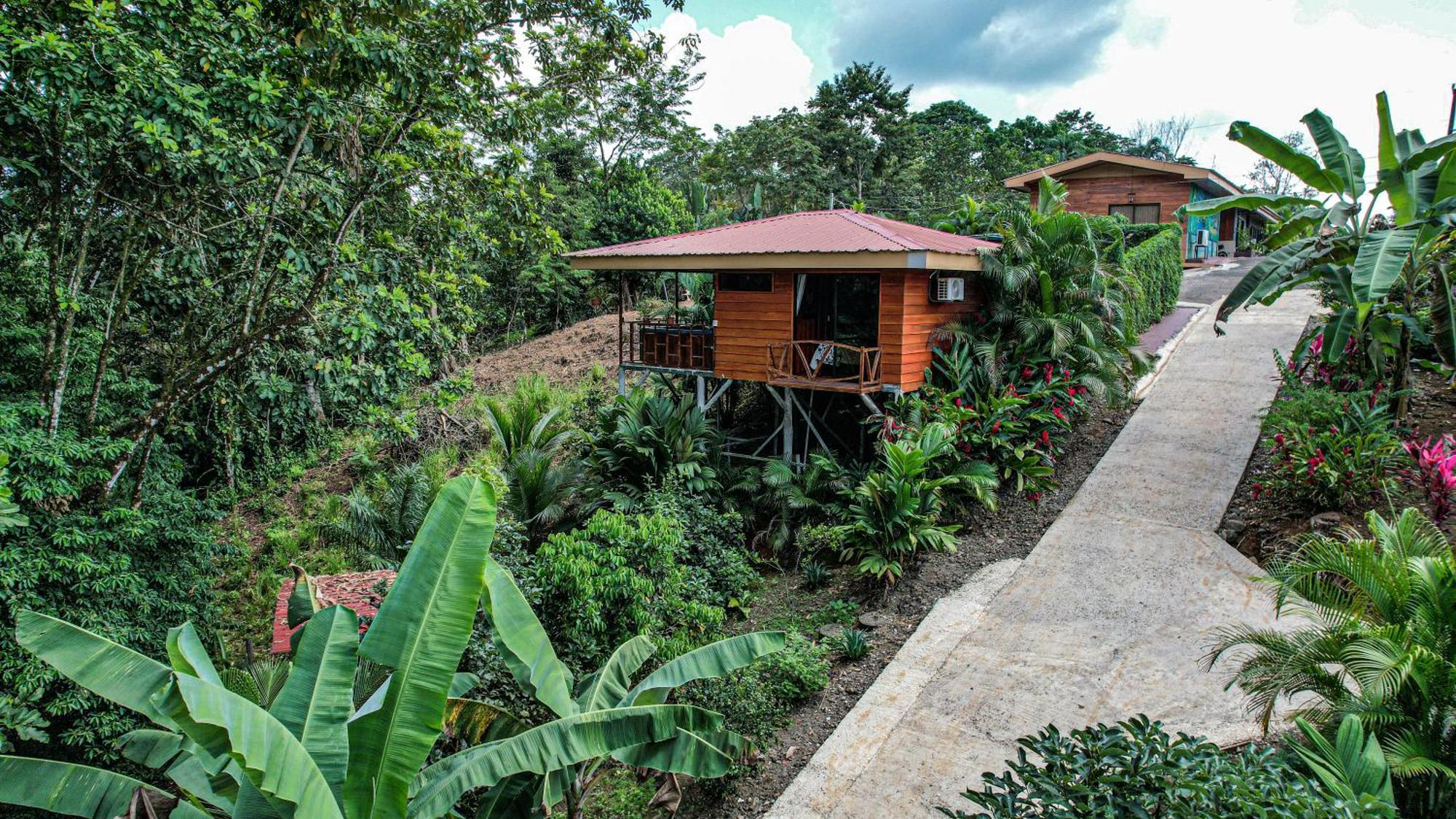 Bungalows Las Iguanas Arenal Volcano Ла Фортуна Экстерьер фото