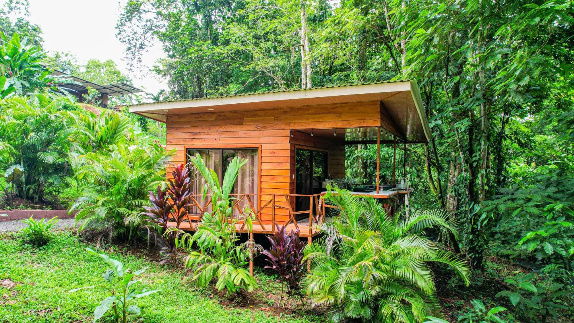 Bungalows Las Iguanas Arenal Volcano Ла Фортуна Экстерьер фото